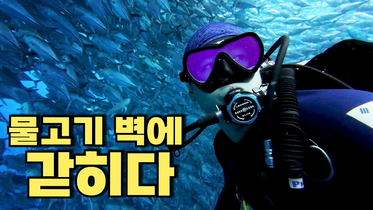 보홀